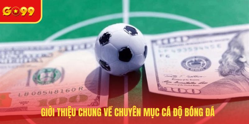 Cá Độ Bóng Đá - Cập Nhật Những Kèo Cược Hot Nhất 2026