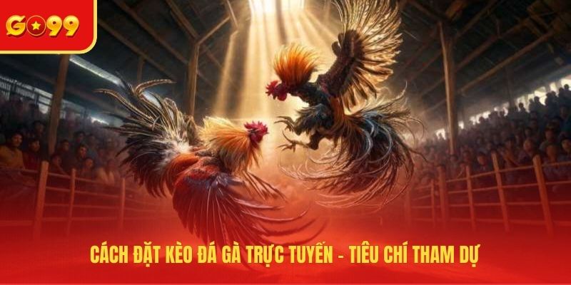 Cách Đặt Kèo Đá Gà Trực Tuyến - Thao Tác Cơ Bản Tại GO99