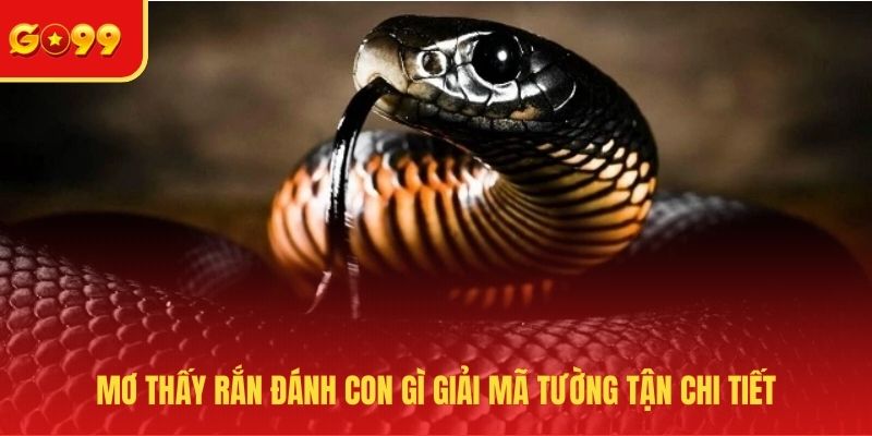Mơ Thấy Rắn Đánh Con Gì? Đầu Tư Chuẩn, Kiếm Tiền Dễ Dàng
