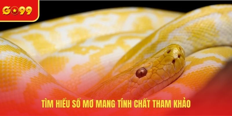 Mơ Thấy Rắn Đánh Con Gì? Đầu Tư Chuẩn, Kiếm Tiền Dễ Dàng