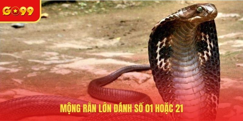 Mơ Thấy Rắn Đánh Con Gì? Đầu Tư Chuẩn, Kiếm Tiền Dễ Dàng