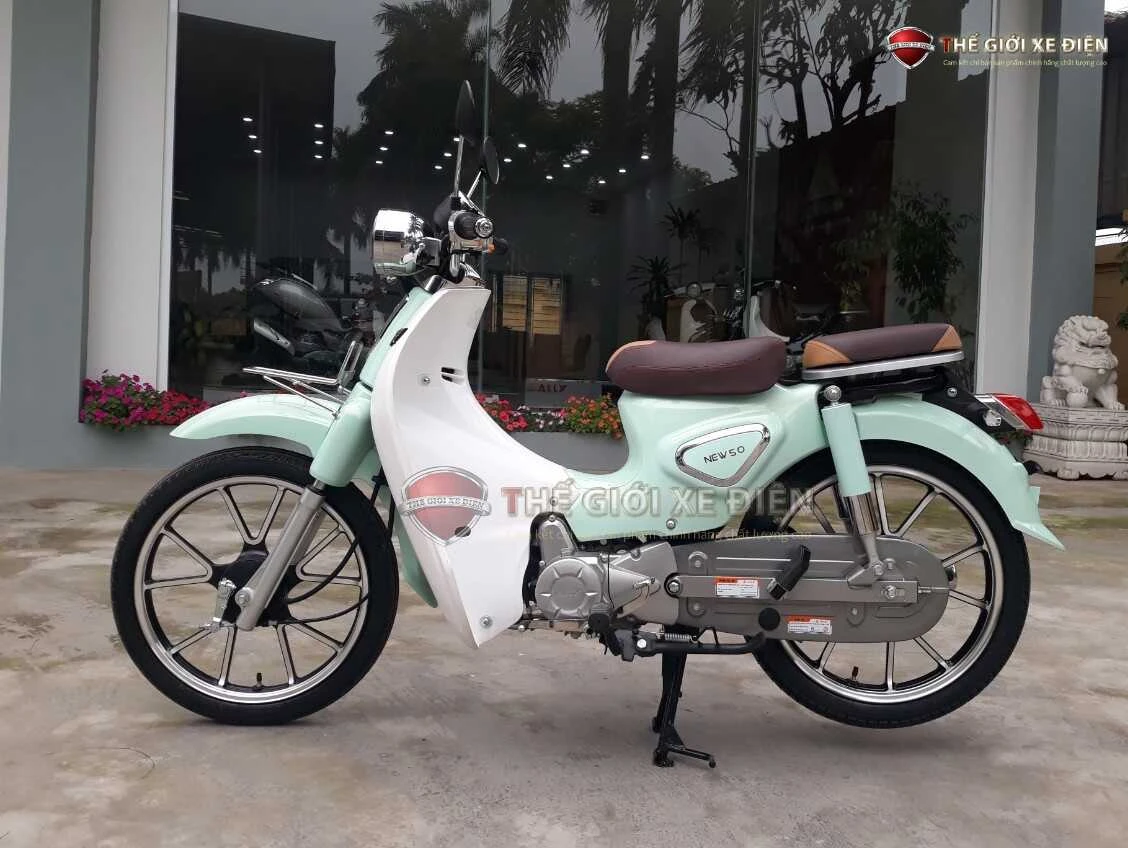 Xe Máy 50cc Cub New Vigor Ally - Xe điện Vivu