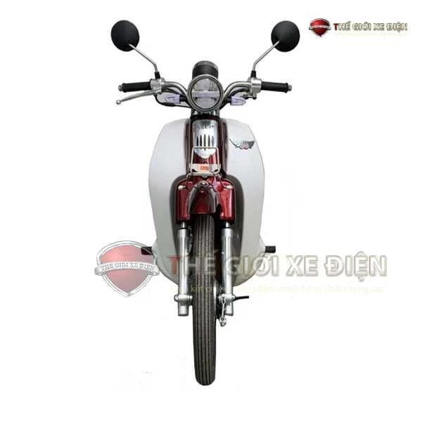Xe Máy 50cc Cub New Vigor Ally Vành Đúc - Xe điện Vivu