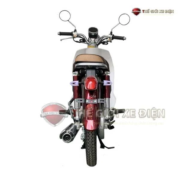 Xe Máy 50cc Cub New Vigor Ally Vành Đúc - Xe điện Vivu