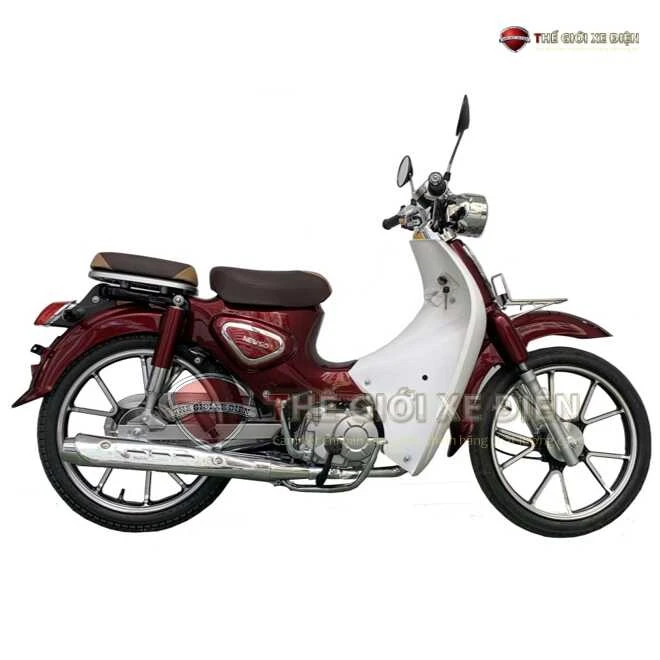 Xe Máy 50cc Cub New Vigor Ally Vành Đúc - Xe điện Vivu