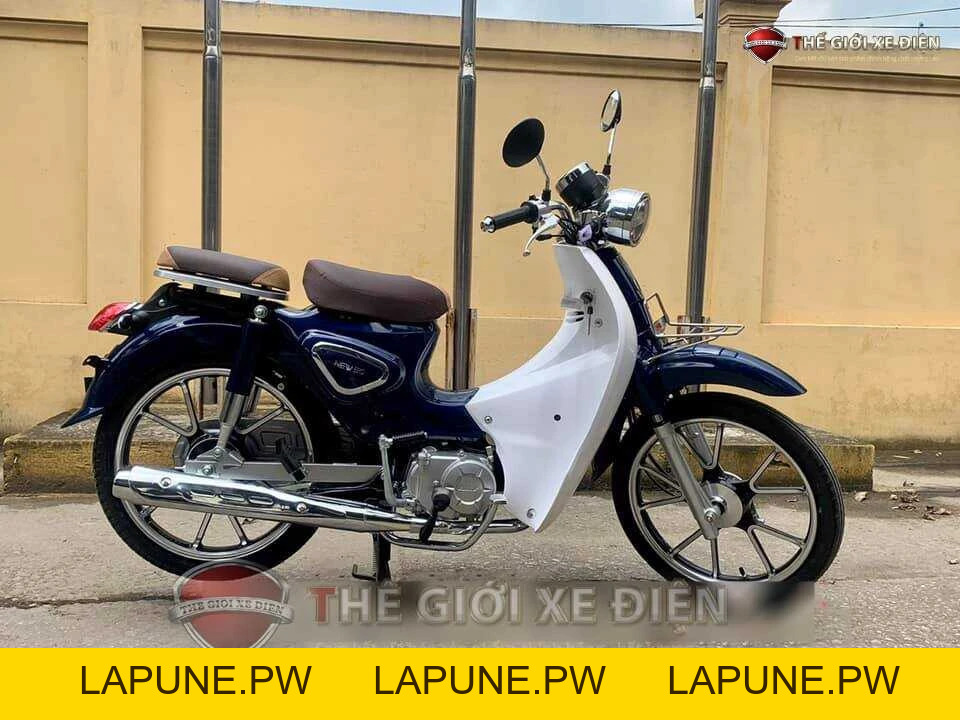 Xe Máy 50cc Cub New Vigor Ally Vành Đúc - Xe điện Vivu