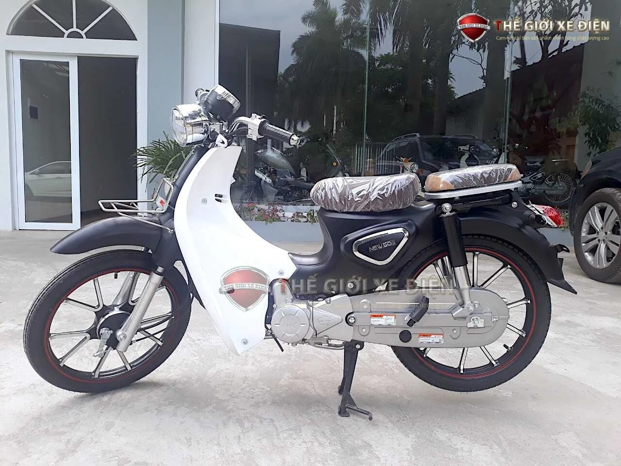 Xe Máy 50cc Cub New Vigor Ally Vành Đúc - Xe điện Vivu