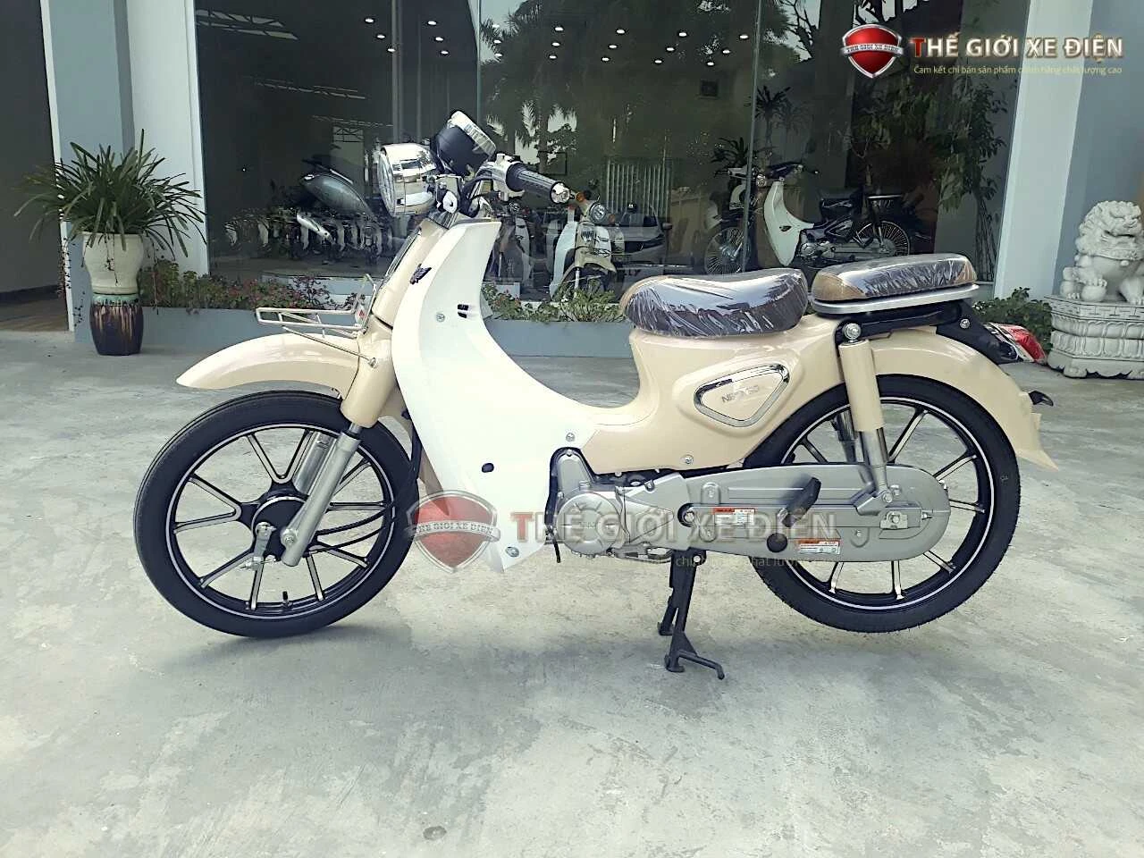 Xe Máy 50cc Cub New Vigor Ally Vành Đúc - Xe điện Vivu
