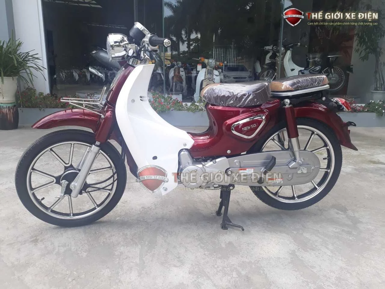 Xe Máy 50cc Cub New Vigor Ally Vành Đúc - Xe điện Vivu