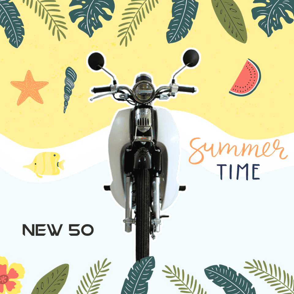 Xe Máy 50cc Cub New Vigor Ally Vành Đúc - Xe điện Vivu