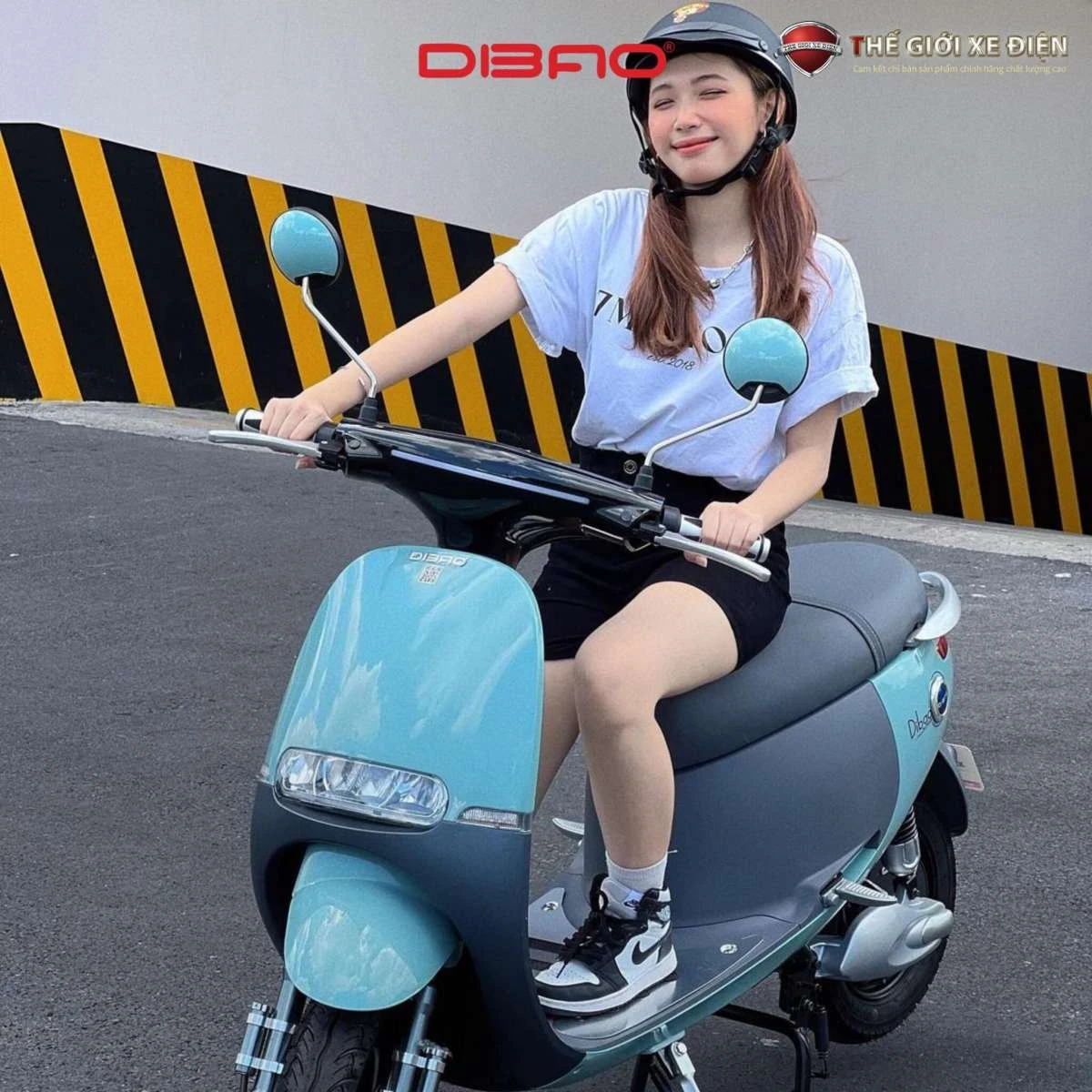 Xe Máy Điện Dibao Gogo S4 - Xe điện Vivu
