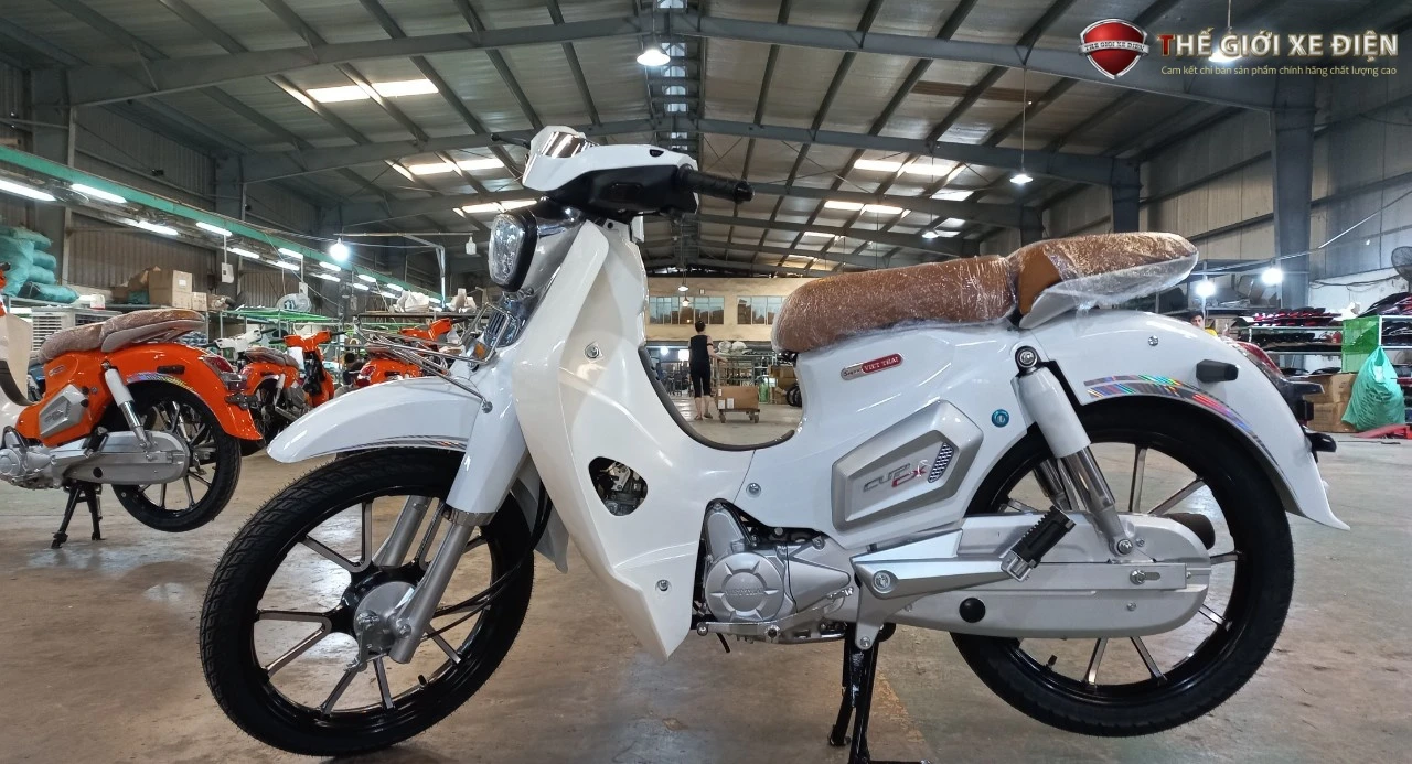 Xe Máy 50cc Cub Việt Thái Vành Đúc - Xe điện Vivu