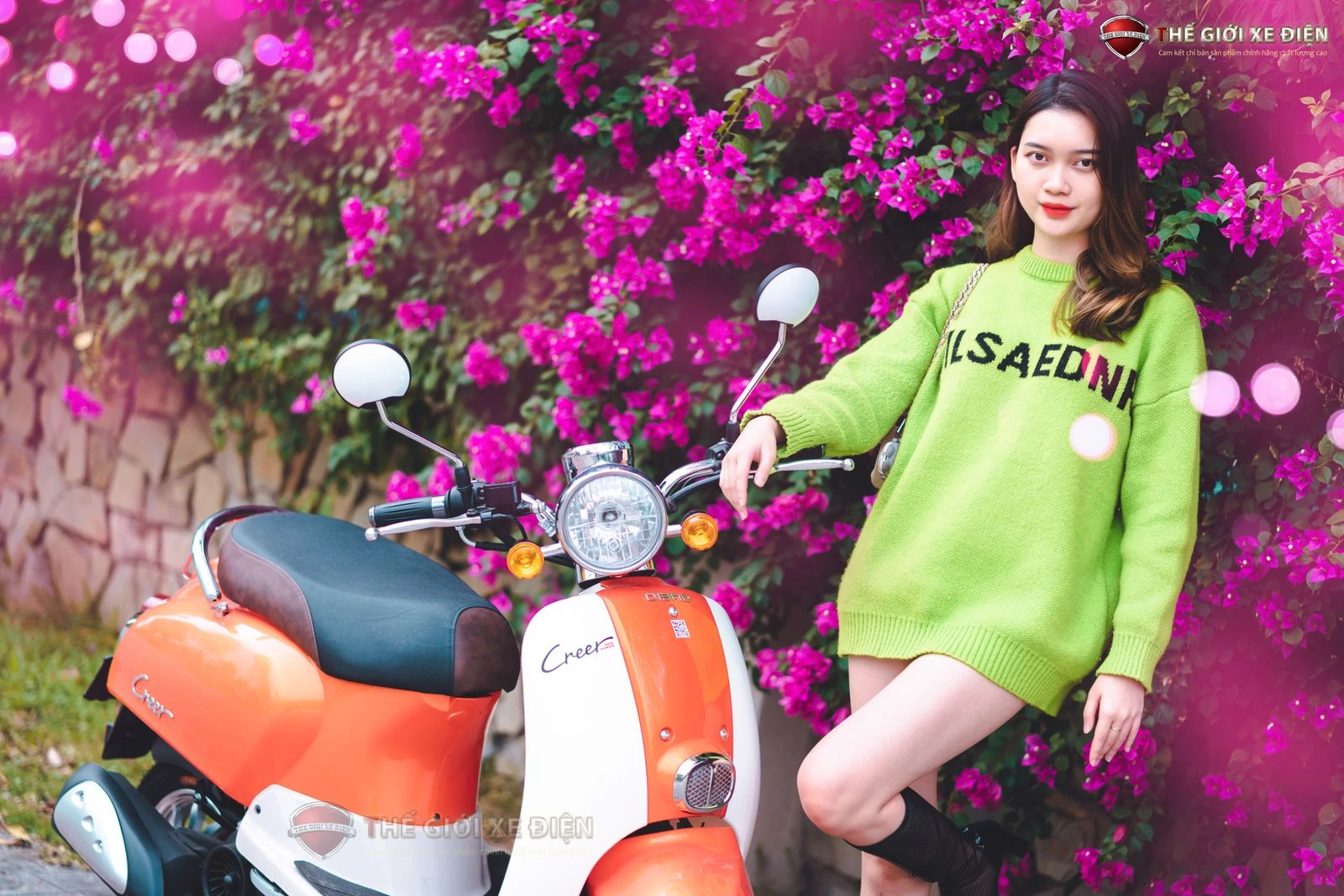 Xe Ga 50cc Dibao Creer Phanh Đĩa Chất Lượng Cao - Xe điện Vivu