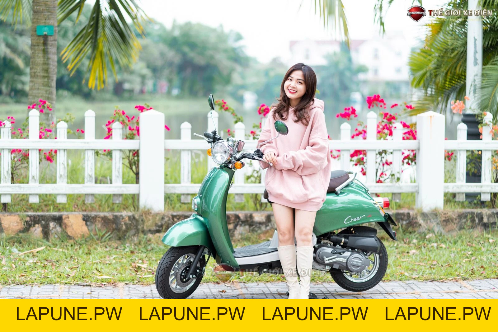 Xe Ga 50cc Dibao Creer Phanh Đĩa Chất Lượng Cao - Xe điện Vivu