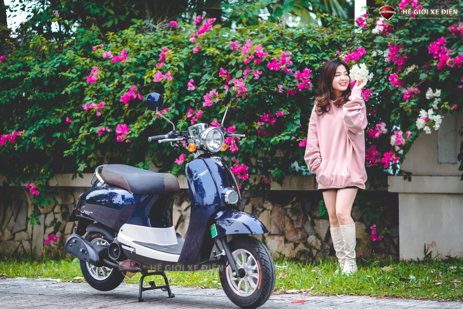 Xe Ga 50cc Dibao Creer Phanh Đĩa Chất Lượng Cao - Xe điện Vivu
