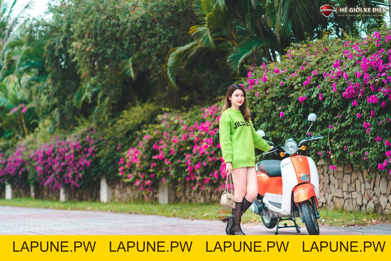 Xe Ga 50cc Dibao Creer Phanh Đĩa Chất Lượng Cao - Xe điện Vivu