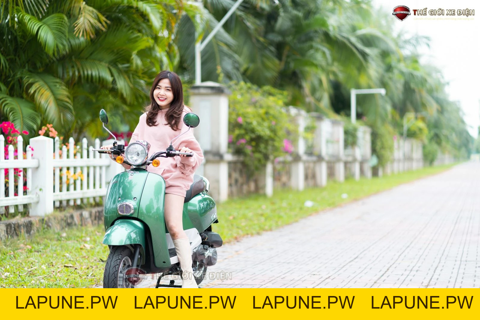Xe Ga 50cc Dibao Creer Phanh Đĩa Chất Lượng Cao - Xe điện Vivu