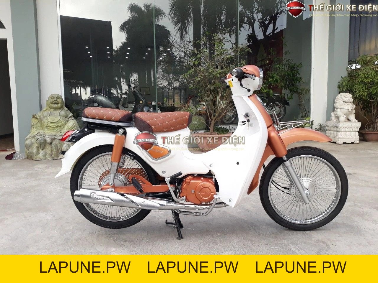 Xe Máy 50cc Cub New 50SE Vigor Ally Bản Đặc Biệt Giới Hạn - Xe điện Vivu