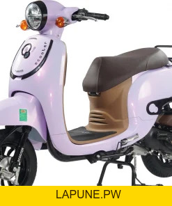 Xe Ga 50cc Dibao Creer Phanh Đĩa Chất Lượng Cao - Xe điện Vivu