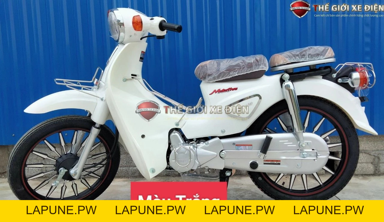 Xe Máy 50cc Cub Motor Thái Vành Đúc - Xe điện Vivu