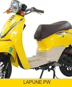 Xe Ga 50cc Dibao Creer Phanh Đĩa Chất Lượng Cao - Xe điện Vivu