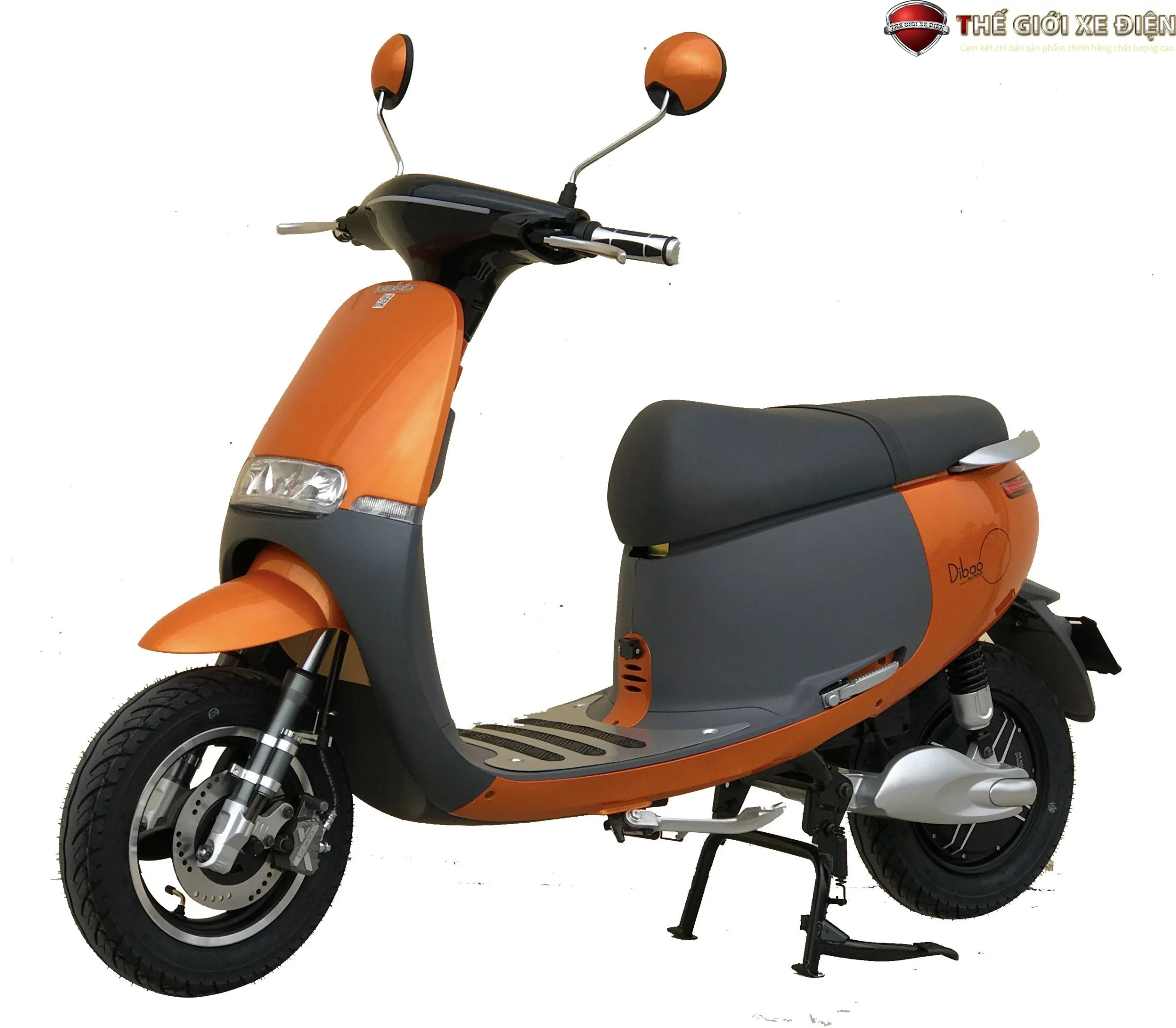 Xe Máy Điện Dibao Gogo S5 Càng Nhôm Đúc - Xe điện Vivu