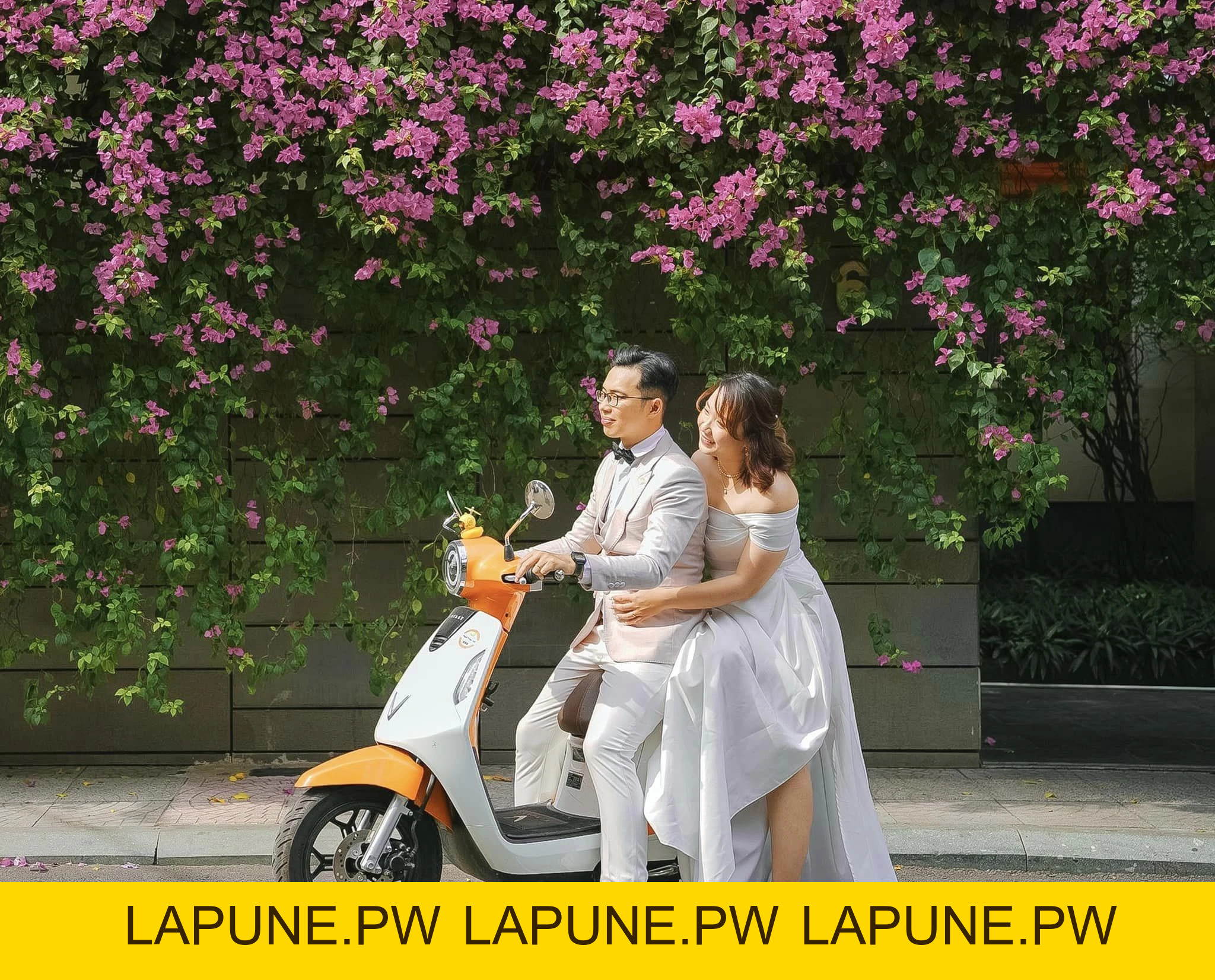 Xe Máy Điện VinFast Evo 200 Kèm Pin - Xe điện Vivu