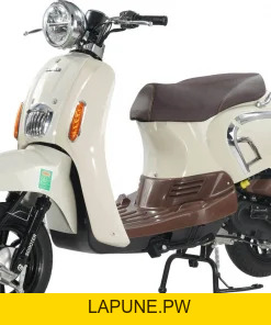 Xe Ga 50cc Dibao Creer Phanh Đĩa Chất Lượng Cao - Xe điện Vivu