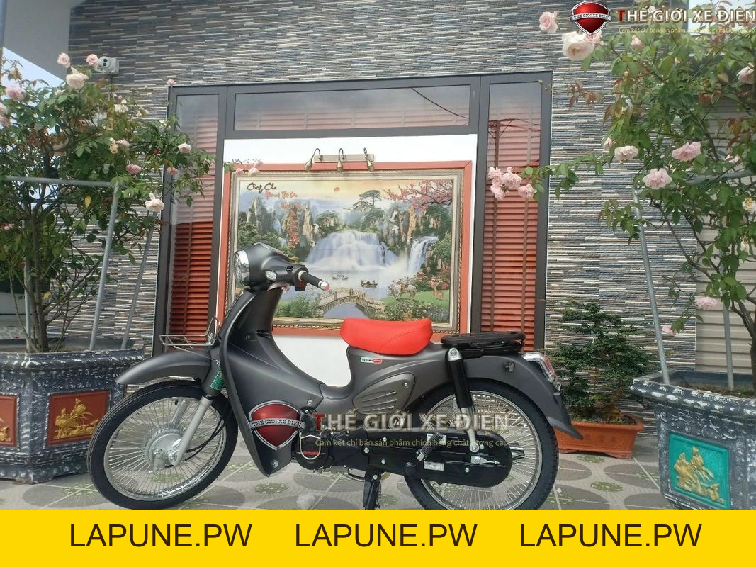 Xe Máy 50cc Cub 89 Victoria Đời Mới - Xe điện Vivu