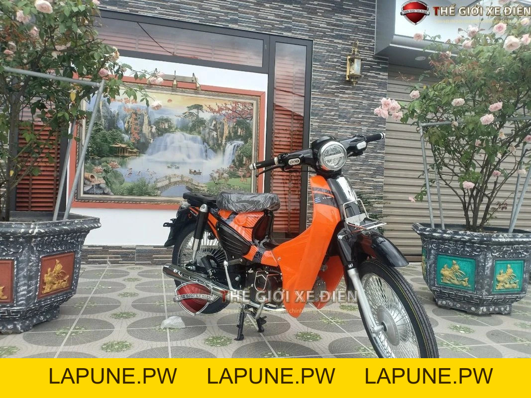 Xe Máy 50cc Cub 89 Victoria Đời Mới - Xe điện Vivu