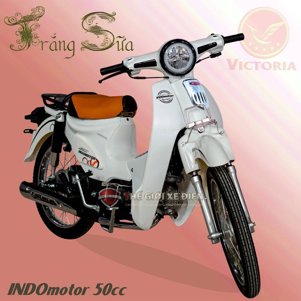 Xe Máy 50cc Cub Indo Victoria - Xe điện Vivu