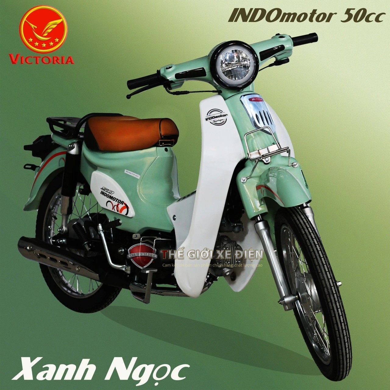 Xe Máy 50cc Cub Indo Victoria - Xe điện Vivu