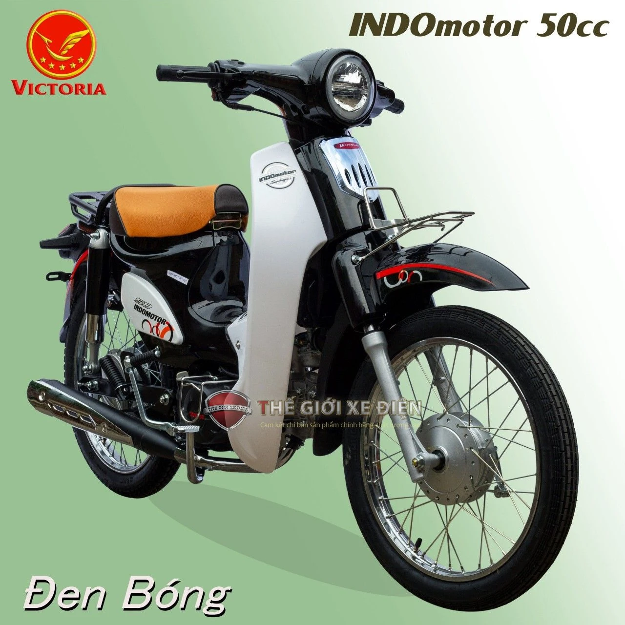 Xe Máy 50cc Cub Indo Victoria - Xe điện Vivu