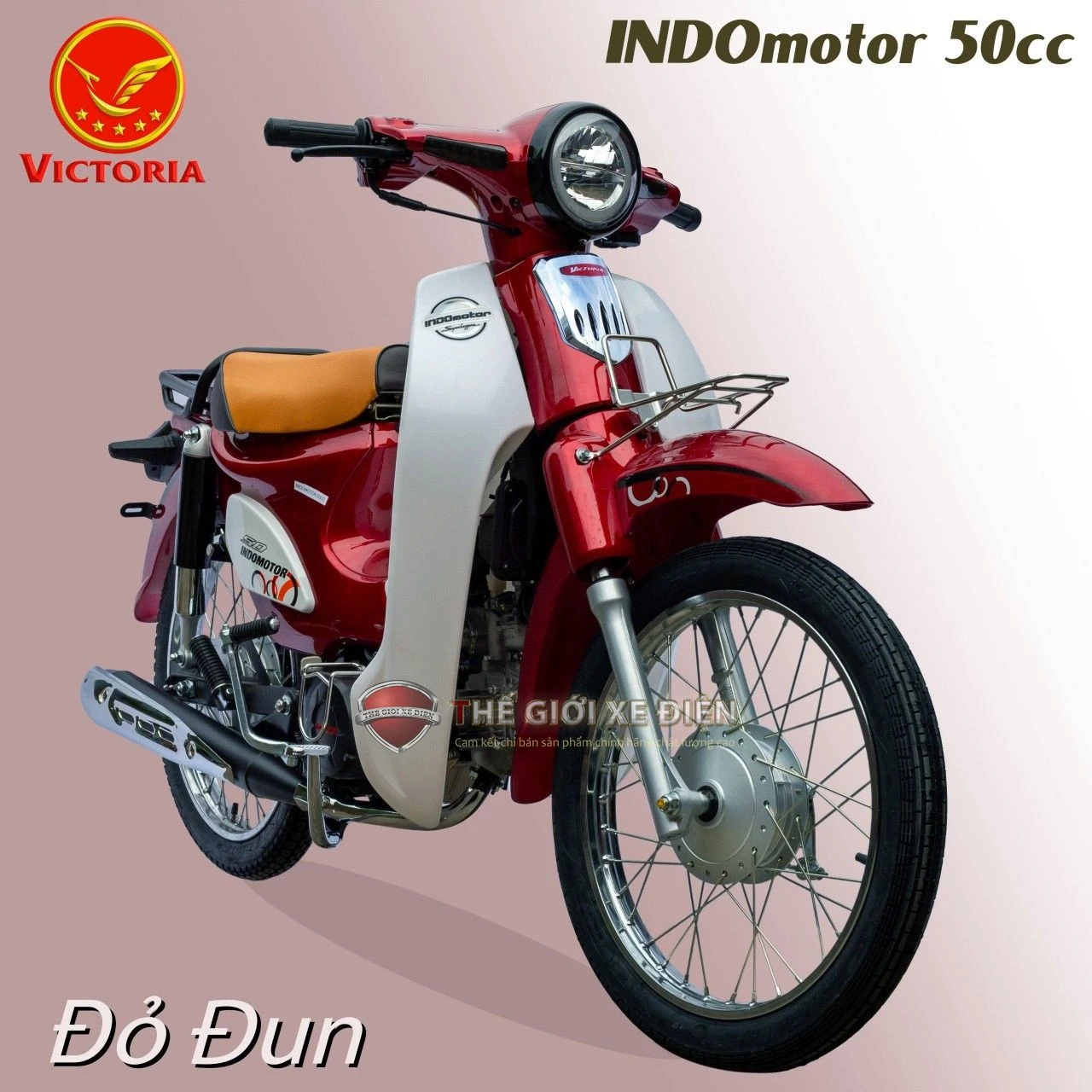 Xe Máy 50cc Cub Indo Victoria - Xe điện Vivu