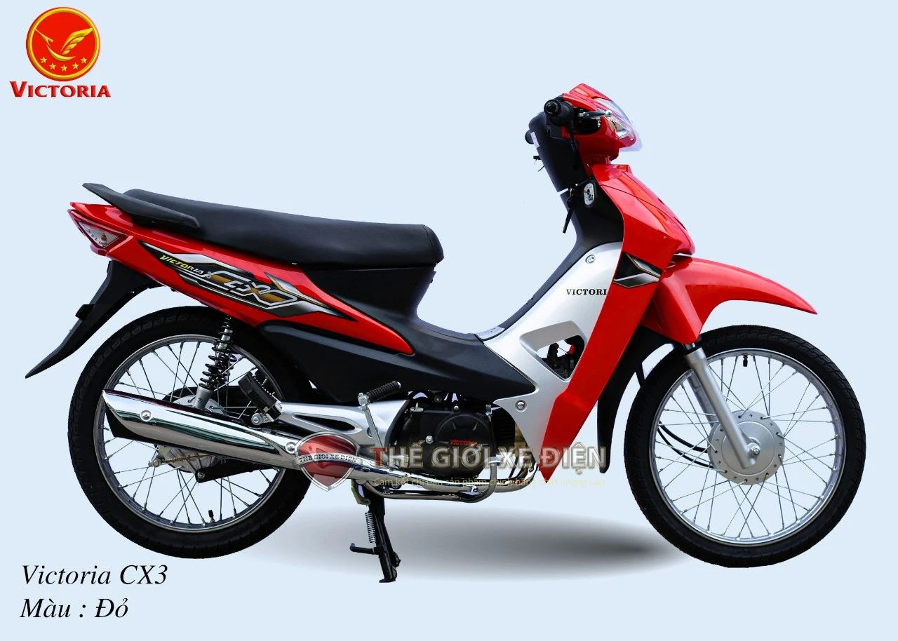 Xe Máy 50cc Wave CX3 Victoria - Xe điện Vivu
