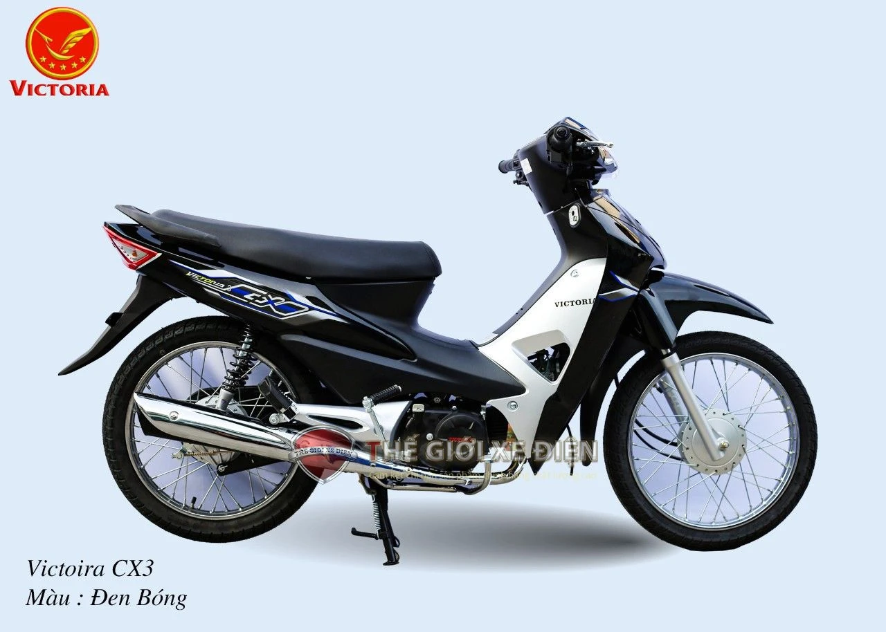 Xe Máy 50cc Wave CX3 Victoria - Xe điện Vivu