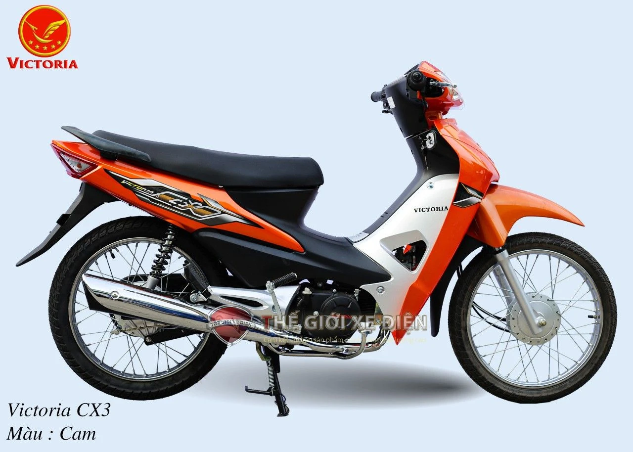 Xe Máy 50cc Wave CX3 Victoria - Xe điện Vivu