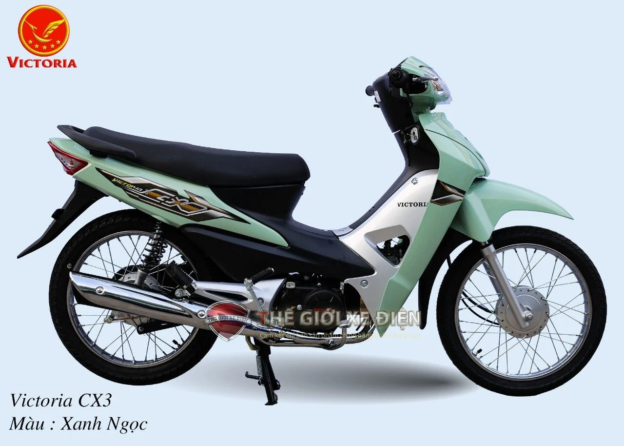 Xe Máy 50cc Wave CX3 Victoria - Xe điện Vivu