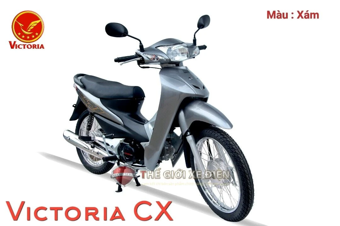 Xe Máy 50cc Wave CX3 Victoria - Xe điện Vivu