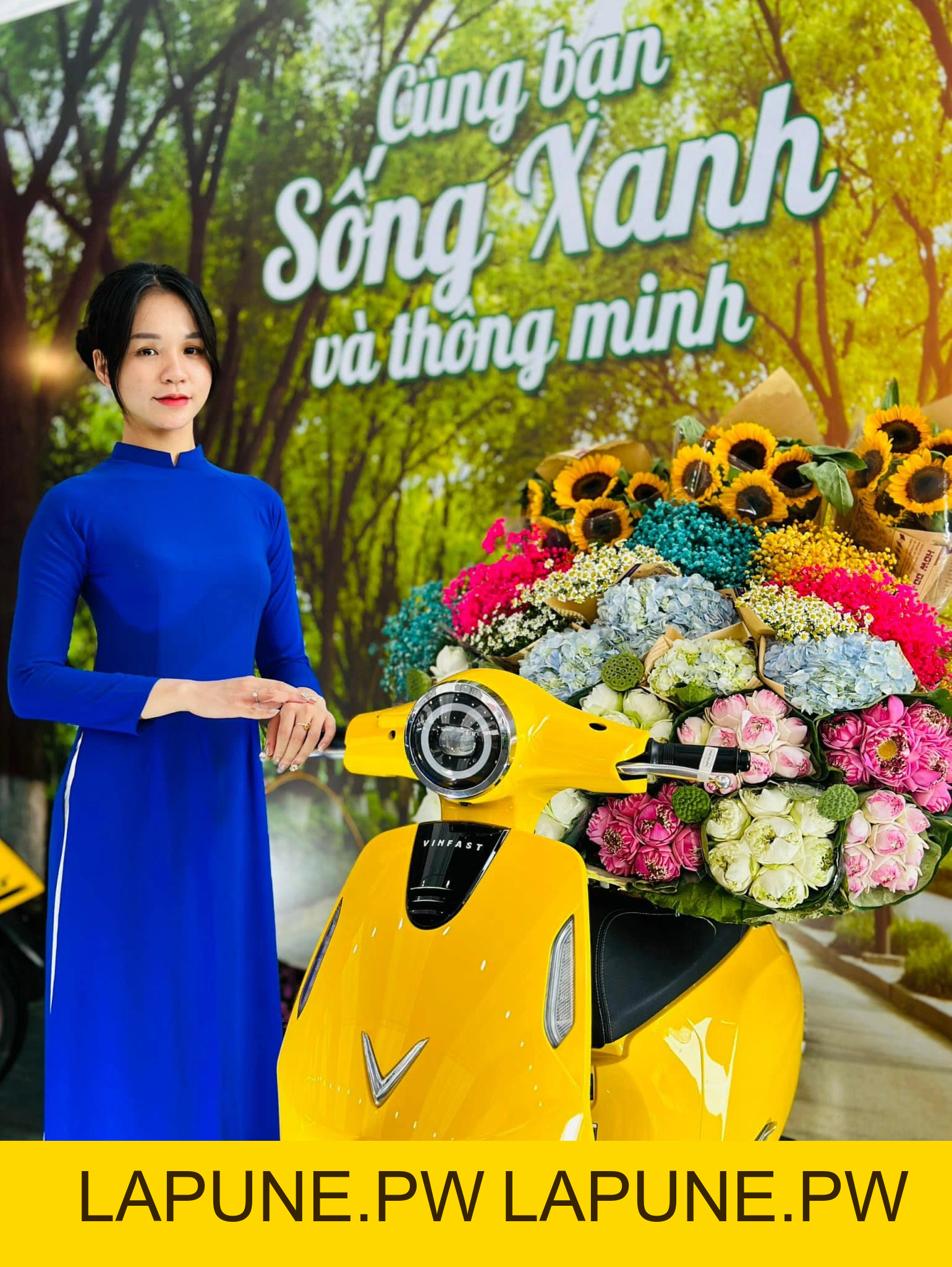 Xe Máy Điện VinFast Evo 200 Kèm Pin - Xe điện Vivu