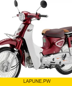 Xe Máy 50cc Wave Ally Vành Đúc - Xe điện Vivu