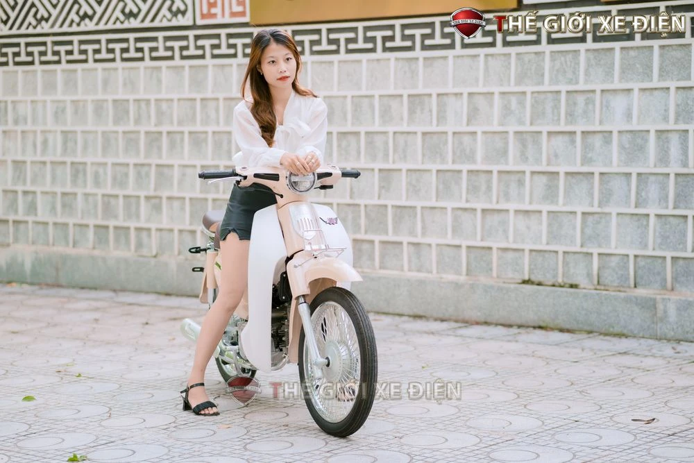 Xe Máy 50cc Cub New Vigor Ally 50SE - Xe điện Vivu