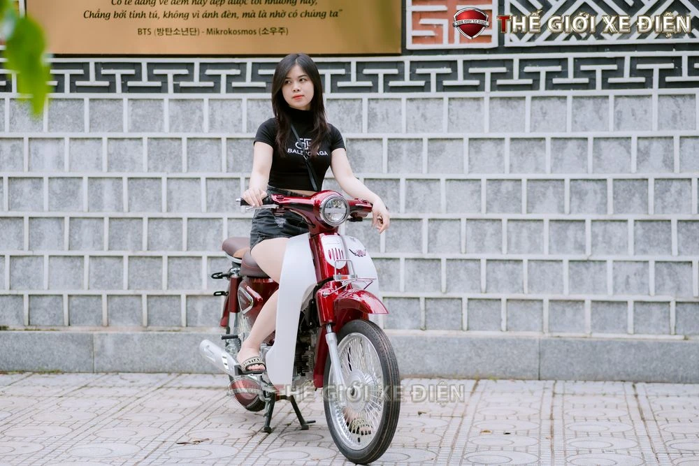 Xe Máy 50cc Cub New Vigor Ally 50SE - Xe điện Vivu