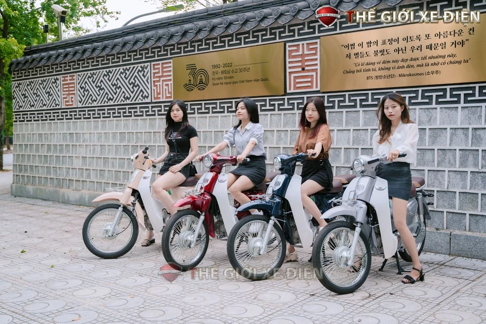 Xe Máy 50cc Cub New Vigor Ally 50SE - Xe điện Vivu