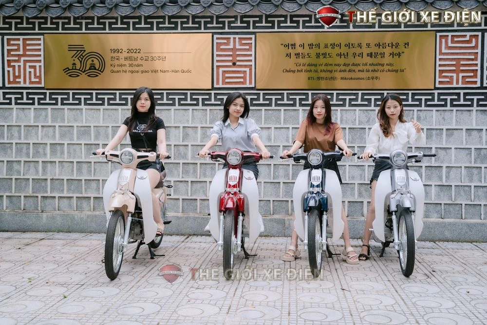 Xe Máy 50cc Cub New Vigor Ally 50SE - Xe điện Vivu
