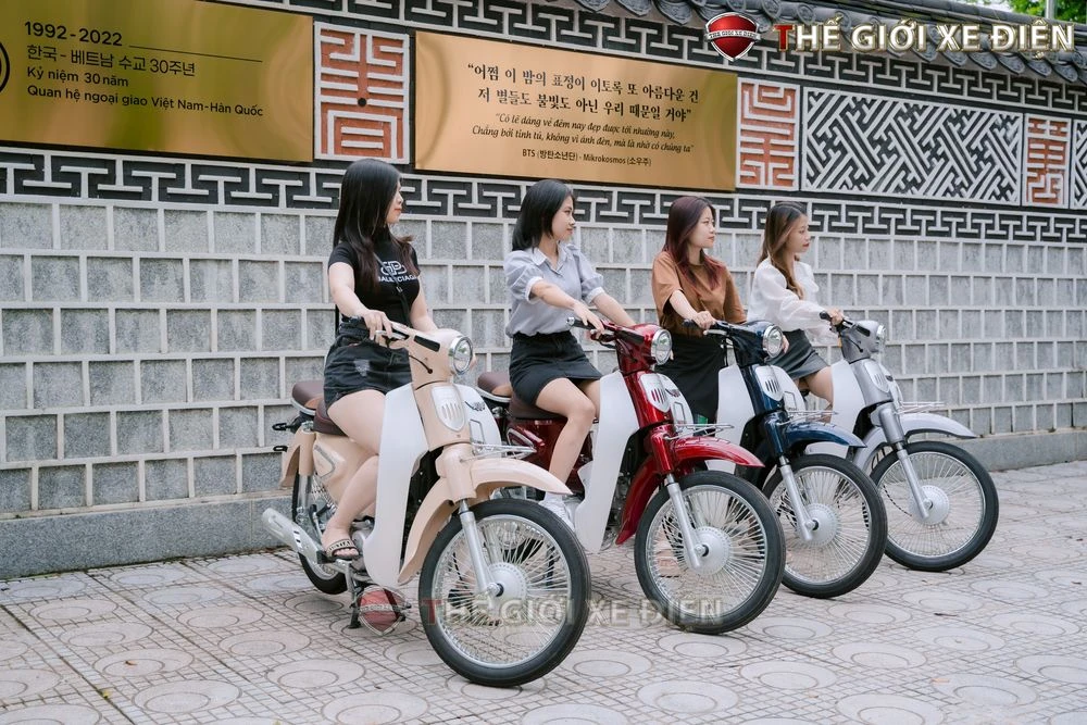 Xe Máy 50cc Cub New Vigor Ally 50SE - Xe điện Vivu