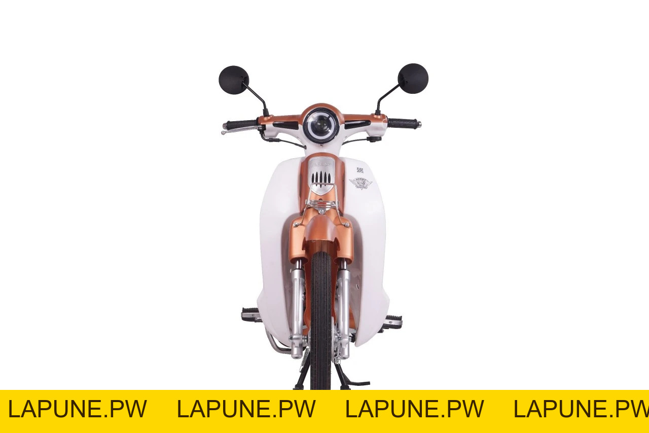Xe Máy 50cc Cub New 50SE Vigor Ally Bản Đặc Biệt Giới Hạn - Xe điện Vivu