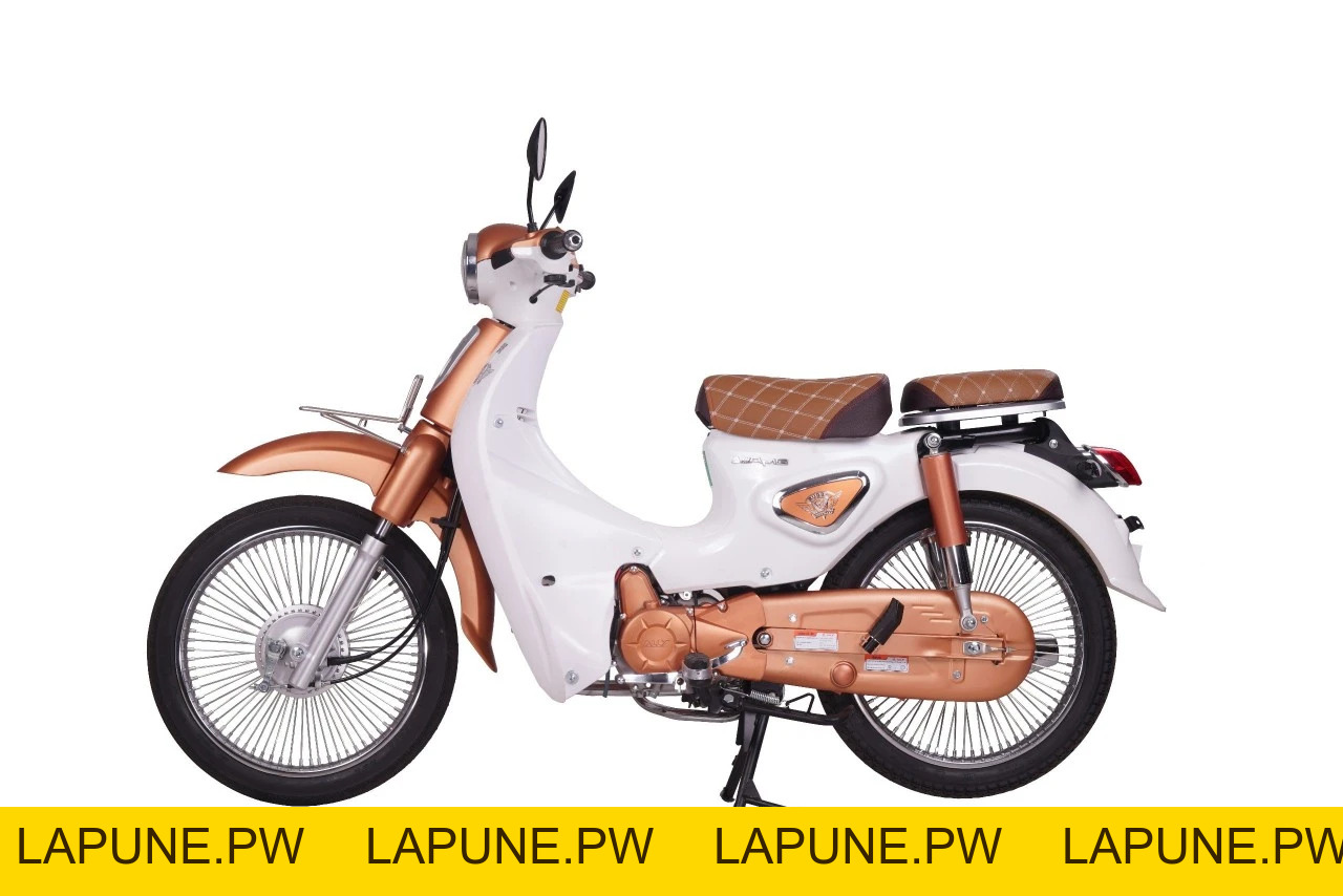 Xe Máy 50cc Cub New 50SE Vigor Ally Bản Đặc Biệt Giới Hạn - Xe điện Vivu