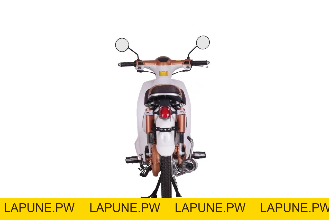 Xe Máy 50cc Cub New 50SE Vigor Ally Bản Đặc Biệt Giới Hạn - Xe điện Vivu