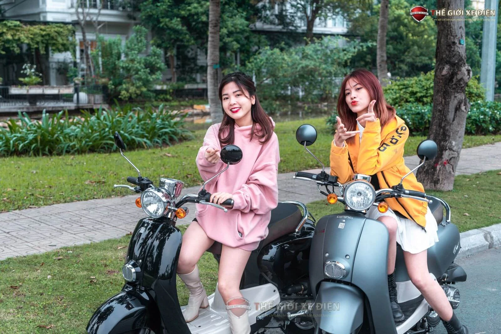 Xe Ga 50cc Dibao Creer Phanh Đĩa Chất Lượng Cao - Xe điện Vivu